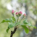 试看体验区60秒 9rlebk