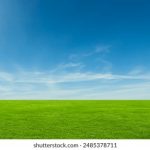 一本一本久久A久久精品综合 q8kbp